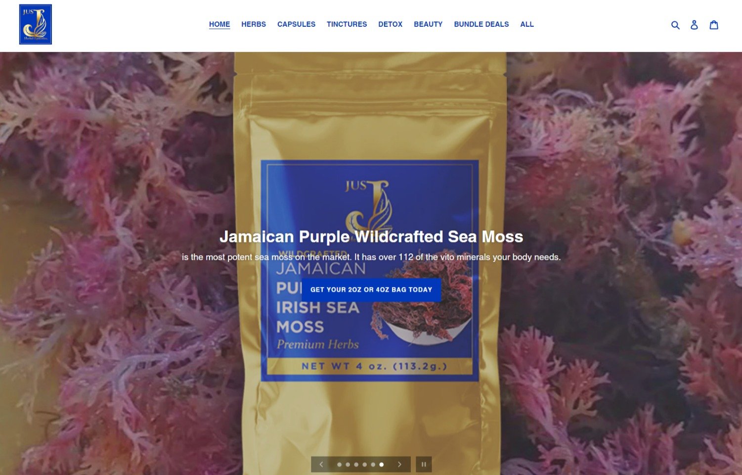 Starter Landing Page - Image 2